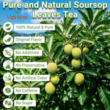 Soursop Leaves Tea Bag, Pure and Natural Soursop Graviola Leaves for Digestion, Boosting Immune, Improving Sleep & Skin Health - Hojas De Guanabana Tea（50 Teabags/1Pack)