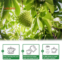 Soursop Leaves Tea - 1.5g x 50 Count - 100% Pure Soursop Graviola Leaves Tea Bag - Country of Origin Thailand - Support Digestion & Rich in Nutrients