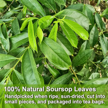 vidafarm - Soursop Leaves Tea Bags, 40 Teabags, 1.5g/bag - Premium Soursop Graviola Leaves Tea - Hojas De Guanabana Tea - Non-GMO - Caffeine-free - Improve Digestion, Support Healthy Skin & Sleep